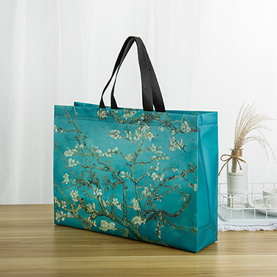 Borsa tote laminata in tessuto non tessuto