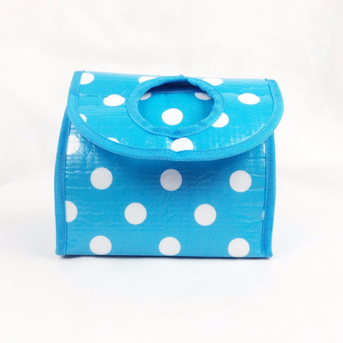Borsa per il pranzo più fresca per la scuola