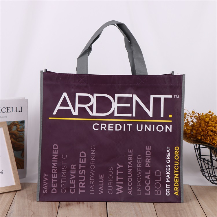 Borsa riutilizzabile in tessuto non tessuto laminato
